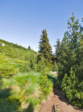 Bulgaristan 'ın Vitosha Dağı' nın Muhteşem Bahar Panoraması
