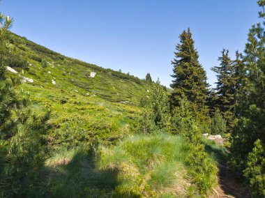 Bulgaristan 'ın Vitosha Dağı' nın Muhteşem Bahar Panoraması