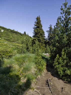 Bulgaristan 'ın Vitosha Dağı' nın Muhteşem Bahar Panoraması