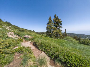 Bulgaristan 'ın Vitosha Dağı' nın Muhteşem Bahar Panoraması