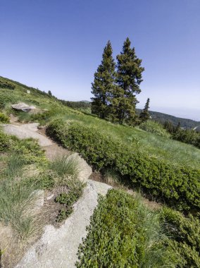 Bulgaristan 'ın Vitosha Dağı' nın Muhteşem Bahar Panoraması