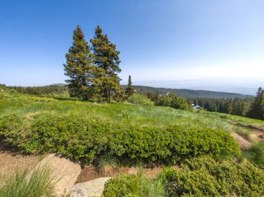 Bulgaristan 'ın Vitosha Dağı' nın Muhteşem Bahar Panoraması