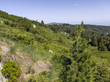 Bulgaristan 'ın Vitosha Dağı' nın Muhteşem Bahar Panoraması