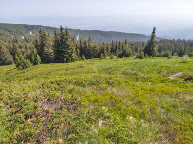 Bulgaristan 'ın Vitosha Dağı' nın Muhteşem Bahar Panoraması