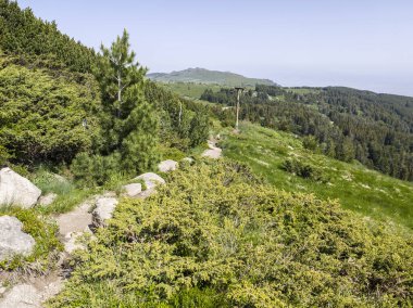 Bulgaristan 'ın Vitosha Dağı' nın Muhteşem Bahar Panoraması