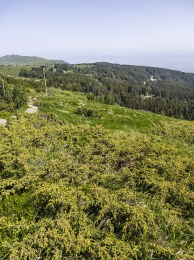Bulgaristan 'ın Vitosha Dağı' nın Muhteşem Bahar Panoraması