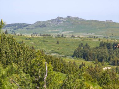 Bulgaristan 'ın Vitosha Dağı' nın Muhteşem Bahar Panoraması