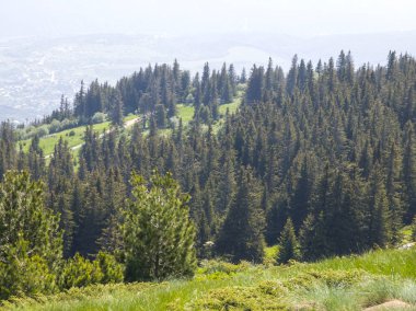Bulgaristan 'ın Vitosha Dağı' nın Muhteşem Bahar Panoraması