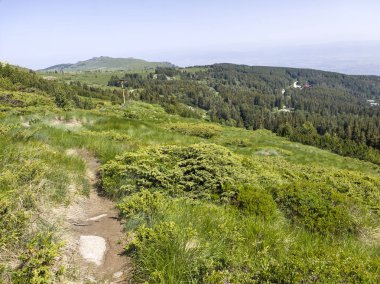 Bulgaristan 'ın Vitosha Dağı' nın Muhteşem Bahar Panoraması