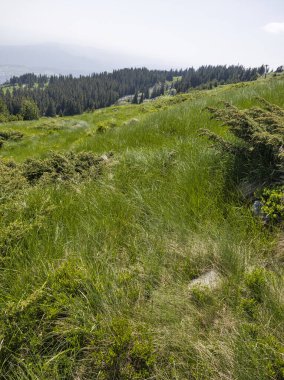Bulgaristan 'ın Vitosha Dağı' nın Muhteşem Bahar Panoraması