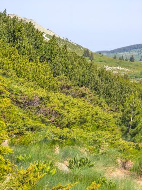 Bulgaristan 'ın Vitosha Dağı' nın Muhteşem Bahar Panoraması