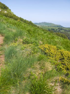 Bulgaristan 'ın Vitosha Dağı' nın Muhteşem Bahar Panoraması