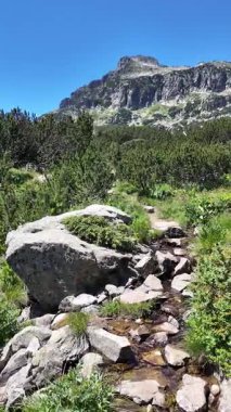 Bulgaristan 'ın Popovo Gölü yakınlarındaki Pirin Dağı' nın İnanılmaz Yaz Manzarası