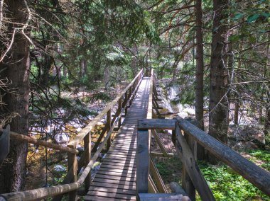 Beli Iskar Nehri yakınlarındaki Rila Dağı, Sofya Bölgesi, Bulgaristan