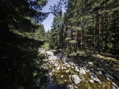 Beli Iskar Nehri yakınlarındaki Rila Dağı, Sofya Bölgesi, Bulgaristan