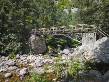 Beli Iskar Nehri yakınlarındaki Rila Dağı, Sofya Bölgesi, Bulgaristan