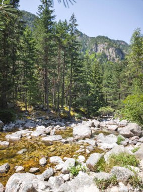 Beli Iskar Nehri yakınlarındaki Rila Dağı, Sofya Bölgesi, Bulgaristan