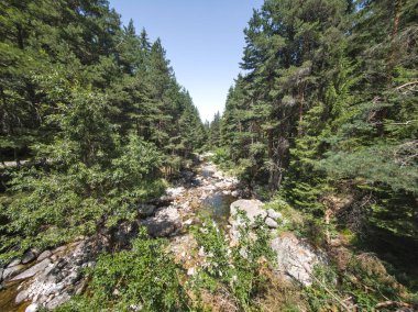 Beli Iskar Nehri yakınlarındaki Rila Dağı, Sofya Bölgesi, Bulgaristan