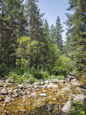 Beli Iskar Nehri yakınlarındaki Rila Dağı, Sofya Bölgesi, Bulgaristan