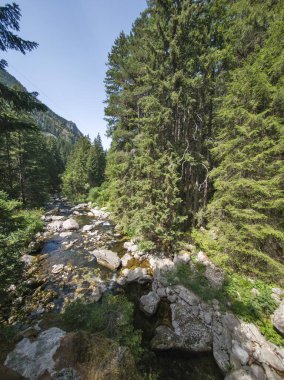 Beli Iskar Nehri yakınlarındaki Rila Dağı, Sofya Bölgesi, Bulgaristan