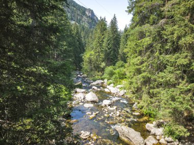 Beli Iskar Nehri yakınlarındaki Rila Dağı, Sofya Bölgesi, Bulgaristan