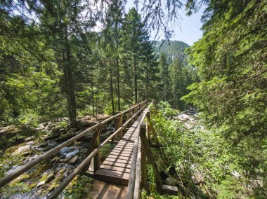 Beli Iskar Nehri yakınlarındaki Rila Dağı, Sofya Bölgesi, Bulgaristan