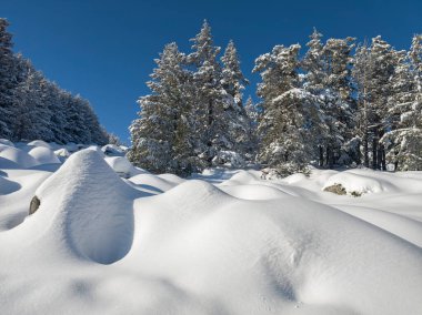 Bulgaristan 'ın Sofya Şehir Bölgesi, Vitosha Dağı' nın İnanılmaz Kış manzarası
