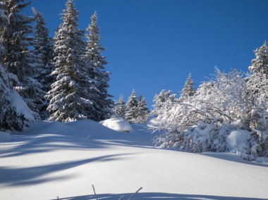 Bulgaristan 'ın Sofya Şehir Bölgesi, Vitosha Dağı' nın İnanılmaz Kış manzarası