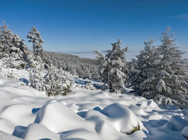 Bulgaristan 'ın Sofya Şehir Bölgesi, Vitosha Dağı' nın İnanılmaz Kış manzarası
