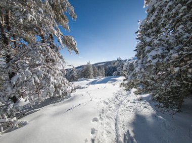 Bulgaristan 'ın Sofya Şehir Bölgesi, Vitosha Dağı' nın İnanılmaz Kış manzarası