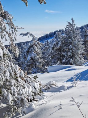 Bulgaristan 'ın Sofya Şehir Bölgesi, Vitosha Dağı' nın İnanılmaz Kış manzarası