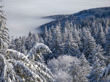 Bulgaristan 'ın Sofya Şehir Bölgesi, Vitosha Dağı' nın İnanılmaz Kış manzarası