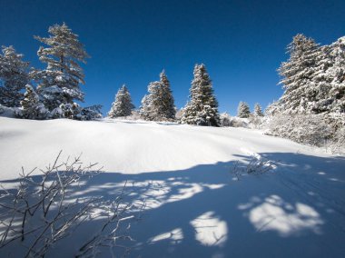 Bulgaristan 'ın Sofya Şehir Bölgesi, Vitosha Dağı' nın İnanılmaz Kış manzarası