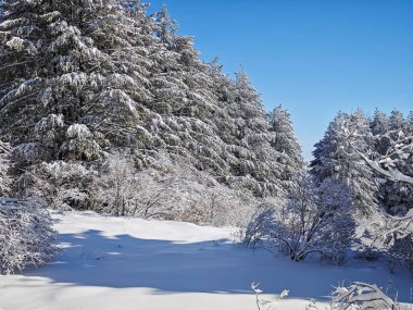 Bulgaristan 'ın Sofya Şehir Bölgesi, Vitosha Dağı' nın İnanılmaz Kış manzarası
