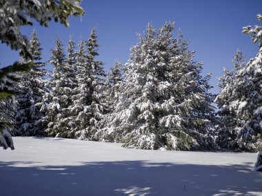 Bulgaristan 'ın Sofya Şehir Bölgesi, Vitosha Dağı' nın İnanılmaz Kış manzarası