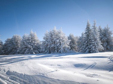 Bulgaristan 'ın Sofya Şehir Bölgesi, Vitosha Dağı' nın İnanılmaz Kış manzarası