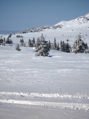 Bulgaristan 'ın Sofya Şehir Bölgesi, Vitosha Dağı' nın İnanılmaz Kış manzarası