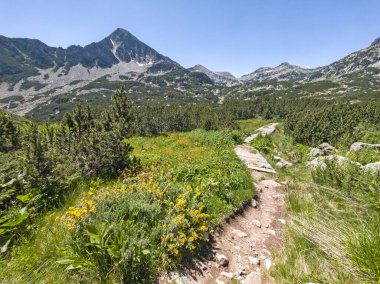 Bulgaristan 'ın Popovo Gölü yakınlarındaki Pirin Dağı' nın İnanılmaz Yaz Manzarası