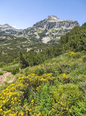 Bulgaristan 'ın Popovo Gölü yakınlarındaki Pirin Dağı' nın İnanılmaz Yaz Manzarası