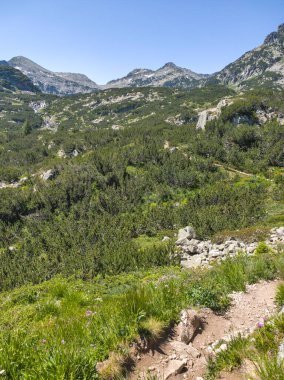 Bulgaristan 'ın Popovo Gölü yakınlarındaki Pirin Dağı' nın İnanılmaz Yaz Manzarası