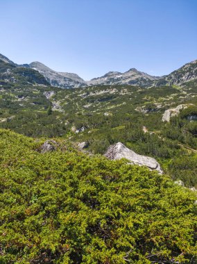 Bulgaristan 'ın Popovo Gölü yakınlarındaki Pirin Dağı' nın İnanılmaz Yaz Manzarası