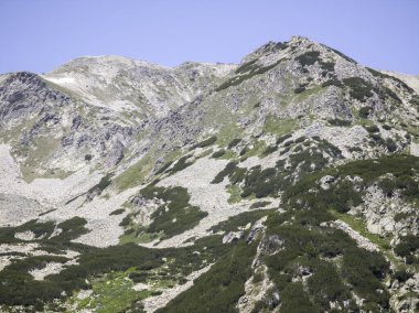 Bulgaristan 'ın Popovo Gölü yakınlarındaki Pirin Dağı' nın İnanılmaz Yaz Manzarası