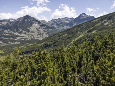Bulgaristan 'ın Popovo Gölü yakınlarındaki Pirin Dağı' nın İnanılmaz Yaz Manzarası