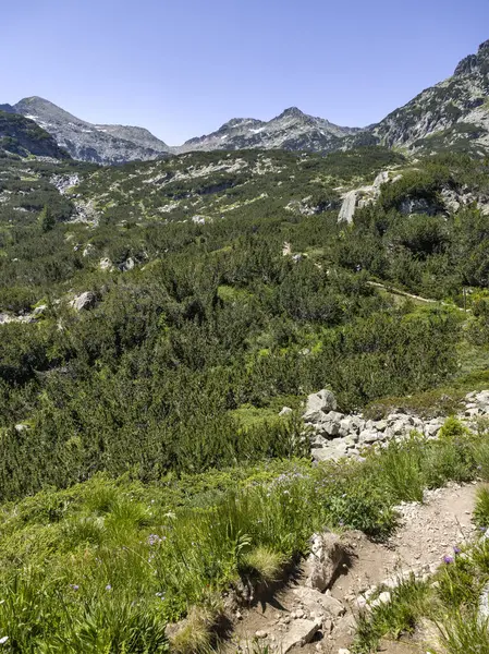 Bulgaristan 'ın Popovo Gölü yakınlarındaki Pirin Dağı' nın İnanılmaz Yaz Manzarası