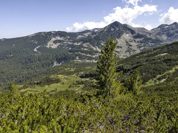 Bulgaristan 'ın Popovo Gölü yakınlarındaki Pirin Dağı' nın İnanılmaz Yaz Manzarası