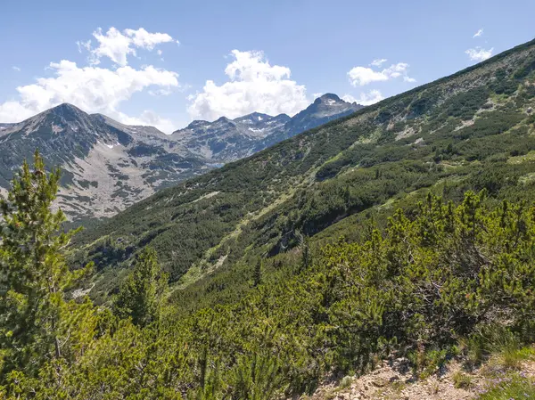 Bulgaristan 'ın Popovo Gölü yakınlarındaki Pirin Dağı' nın İnanılmaz Yaz Manzarası