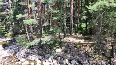 Beli Iskar Nehri yakınlarındaki Rila Dağı, Sofya Bölgesi, Bulgaristan