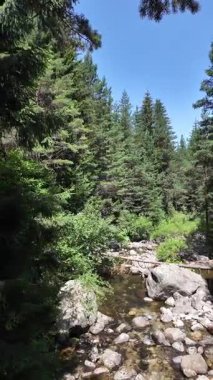 Beli Iskar Nehri yakınlarındaki Rila Dağı, Sofya Bölgesi, Bulgaristan