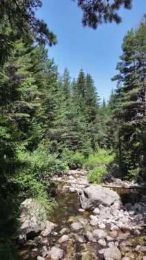 Beli Iskar Nehri yakınlarındaki Rila Dağı, Sofya Bölgesi, Bulgaristan