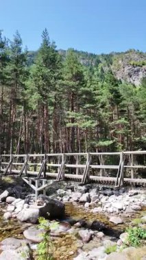 Beli Iskar Nehri yakınlarındaki Rila Dağı, Sofya Bölgesi, Bulgaristan